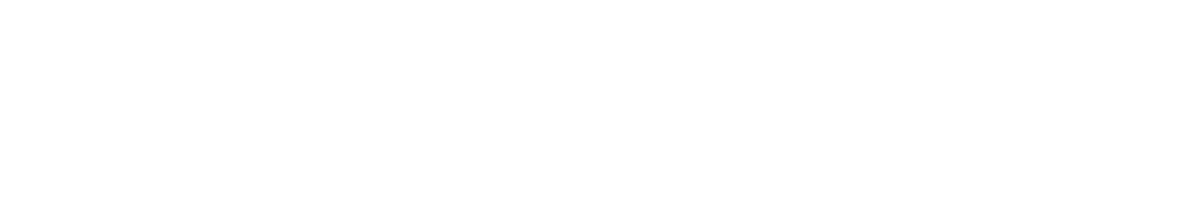 Logo AIS